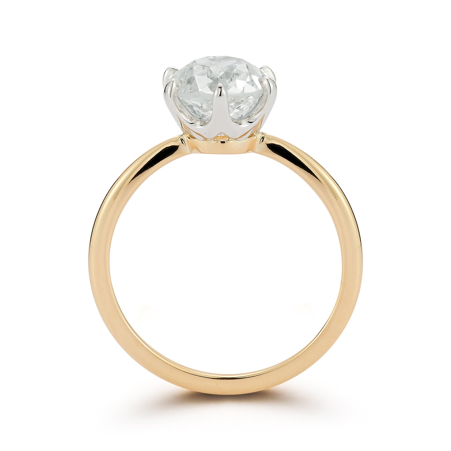 2.05 J/VVS1 Old Euro